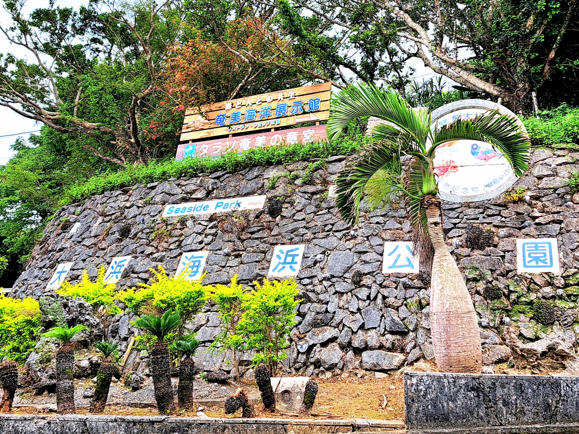 石垣島 大浜海浜公園